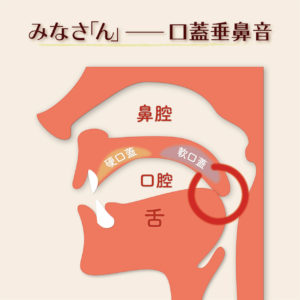 口蓋垂音