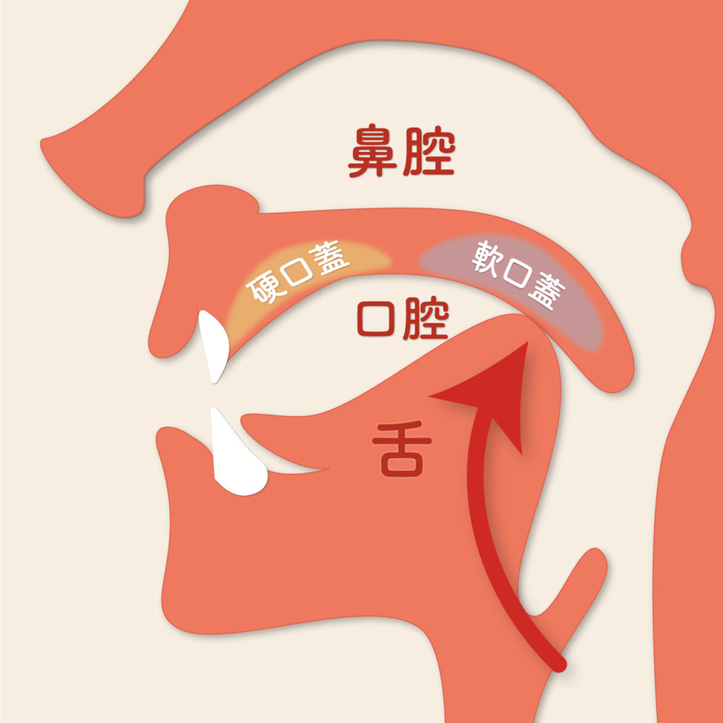 【日本語音声促音】奥が深いぞ小さい「っ」
