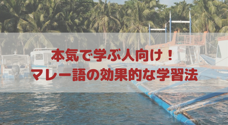 外大生が考える マレー語の効果的な勉強法 本気で学びたい人向け 外大 Net